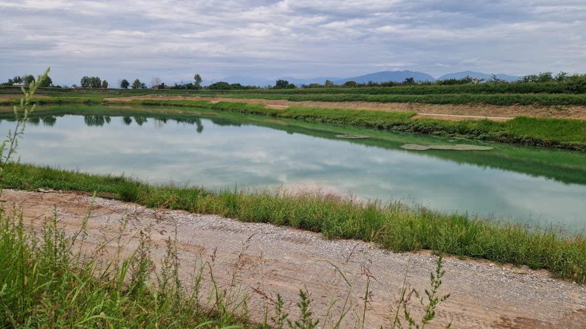 Le 15 domande di Natale: il Questionario dell'Avvento per ragazzi