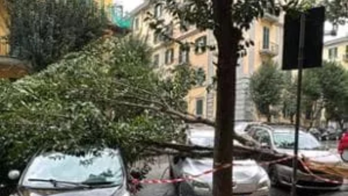 Maltempo, a Napoli temporali ed alberi caduti. Prorogata l'allerta meteo
