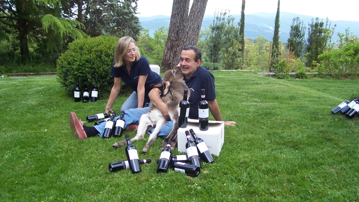 Nella vecchia fattoria di Cinzia e Lorenzo: storie comiche e surreali di animali sulle colline toscane