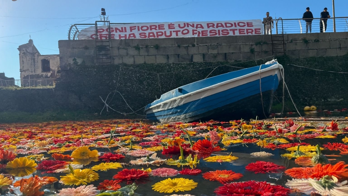 Bradisismo, alla Darsena di Pozzuoli spuntano duemila fiori: «Simbolo di resistenza e rinascita»