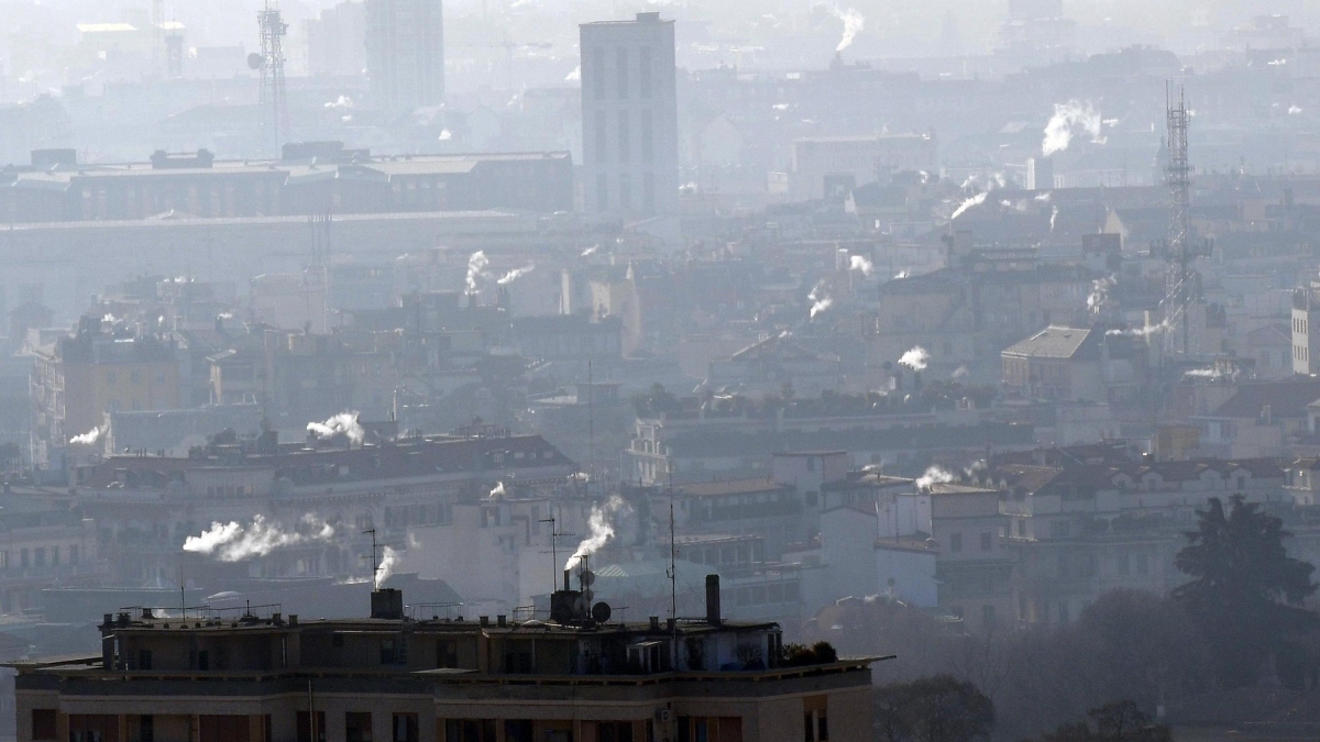 L’aria, le auto e gli alberi: la convivenza nello smog
