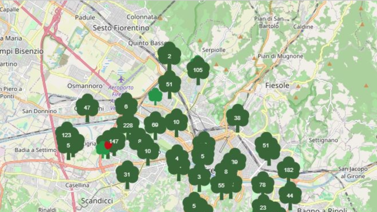 Firenze, torna l'iniziativa dona un albero alla città: le piante sono 200 e si potranno dedicare alle persone care