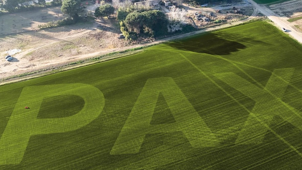 L'inno alla pace sull'erba: la maxi scritta di 180 metri (visibile dagli aerei)