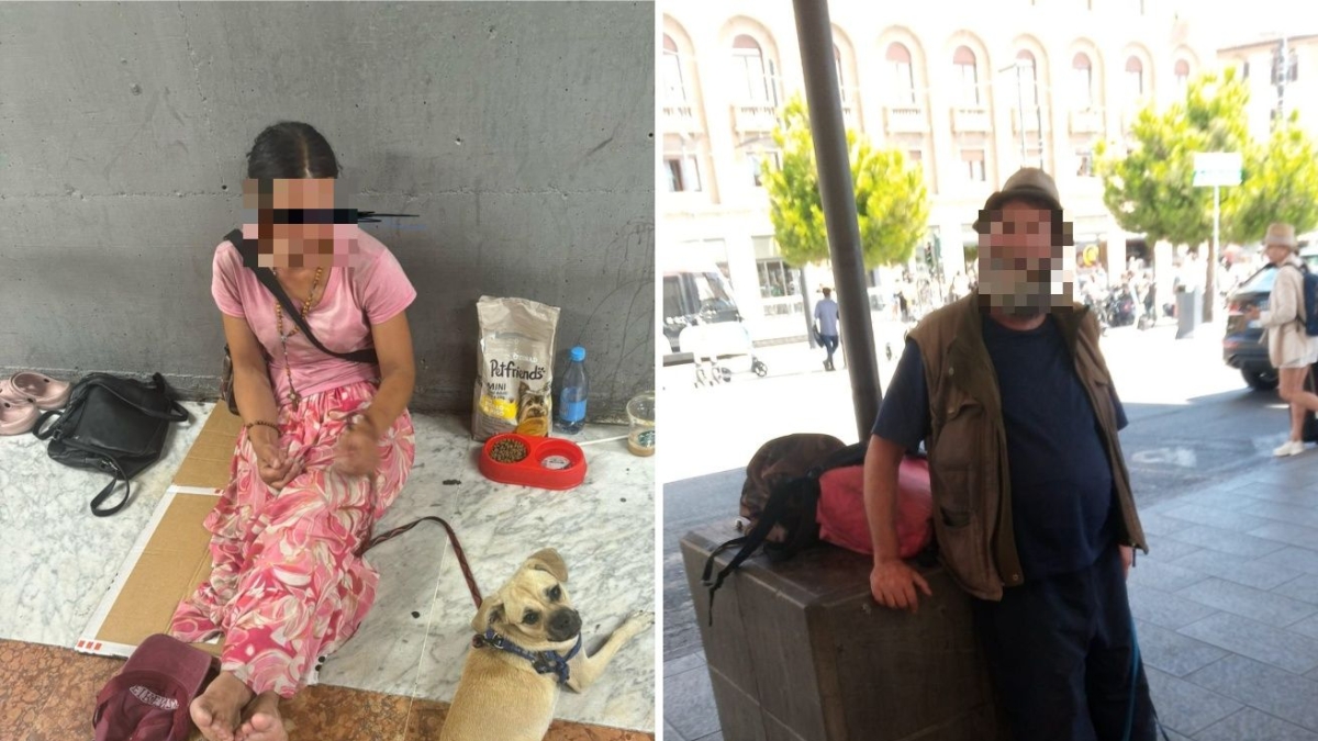 Firenze, le associazioni animaliste contro l'accattonaggio con i cani: «Gli animali soffrono». E il Comune pensa al sequestro