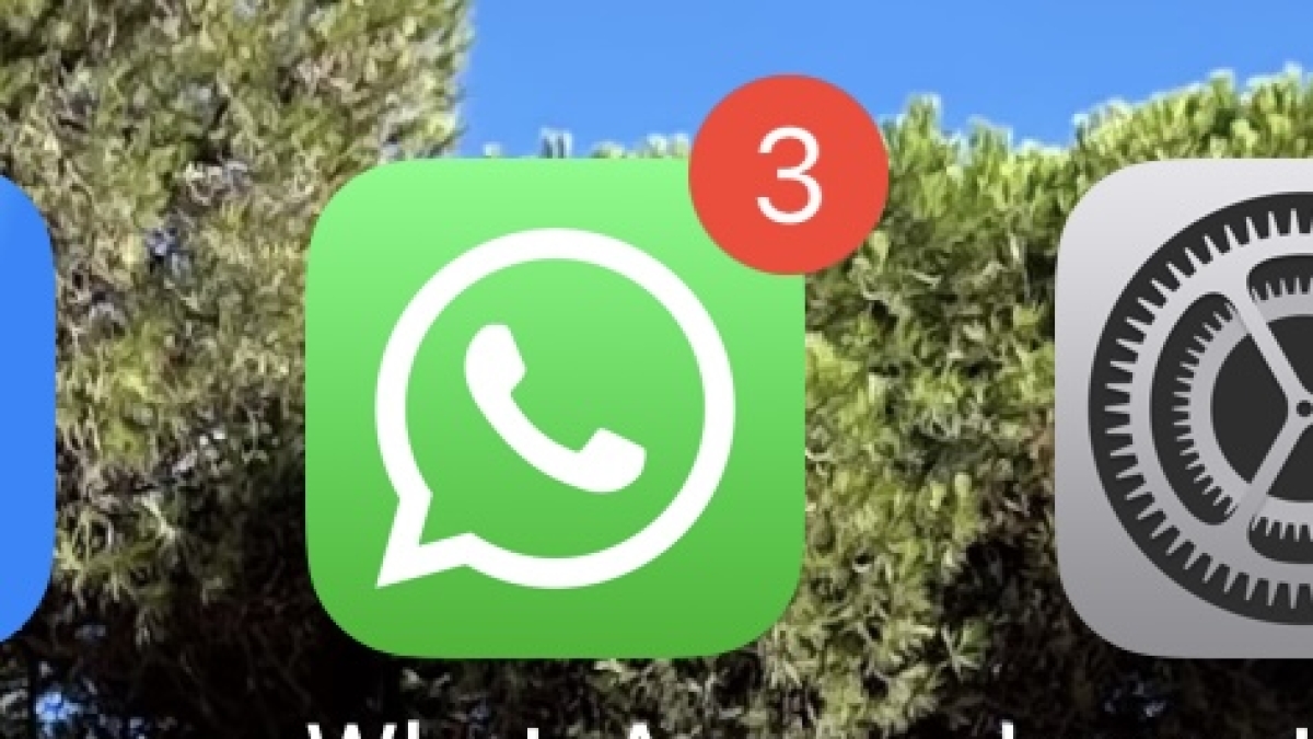 Foto sessiste di bariste e colleghe manipolate con l'Ai nella chat dei tassisti: la procura apre inchiesta per revenge porn