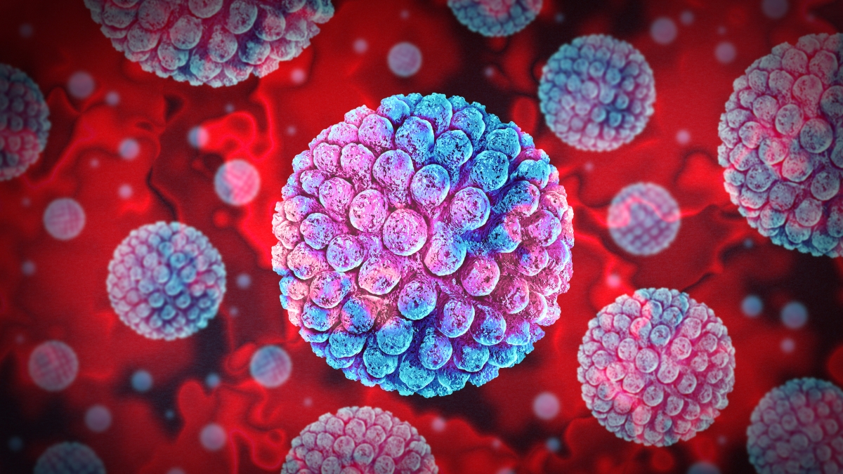 Le 15 domande di Natale: il Questionario dell'Avvento per ragazzi