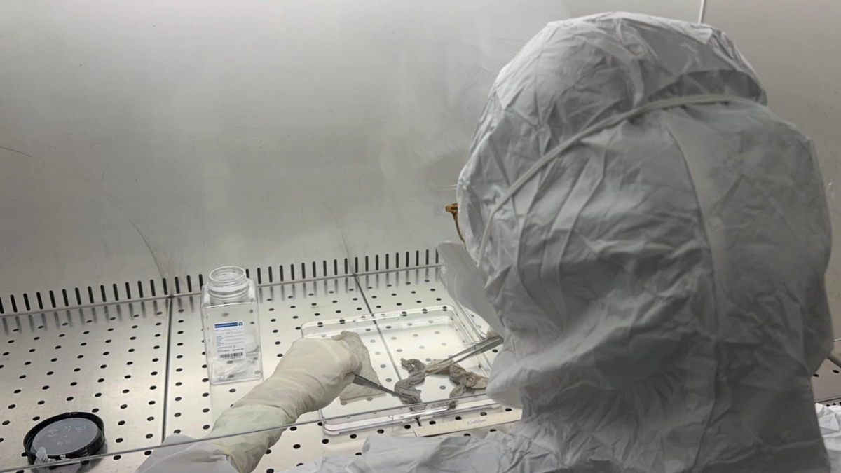 Le 15 domande di Natale: il Questionario dell'Avvento per ragazzi