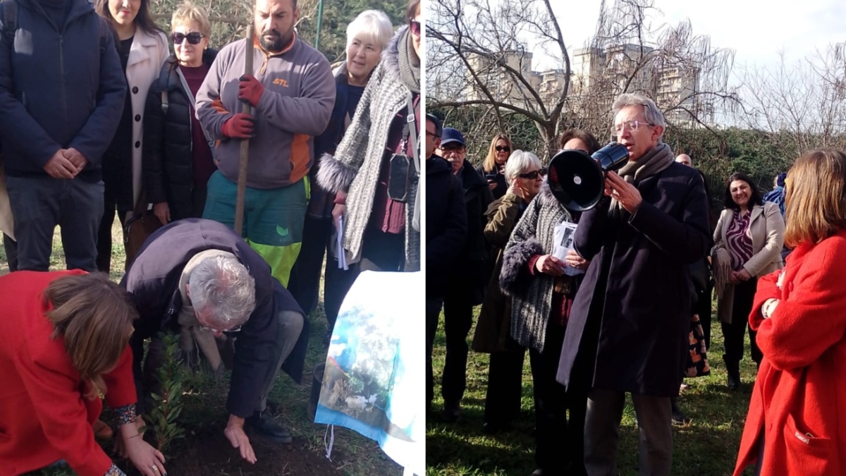A Scampia si inaugura una Microforesta di comunità: le piante frutto anche di una donazione di una prof in pensione