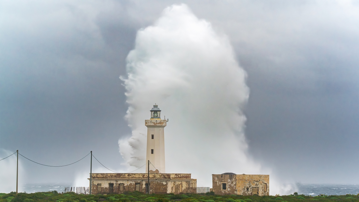 Le 15 domande di Natale: il Questionario dell'Avvento per ragazzi
