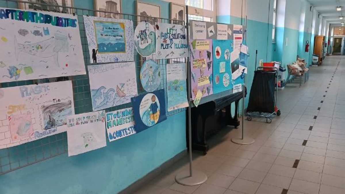 Ragazzo preso a pugni alla scuola media Winckelmann, la preside: «Informato l'Ufficio scolastico regionale. Domani assemblea straordinaria»