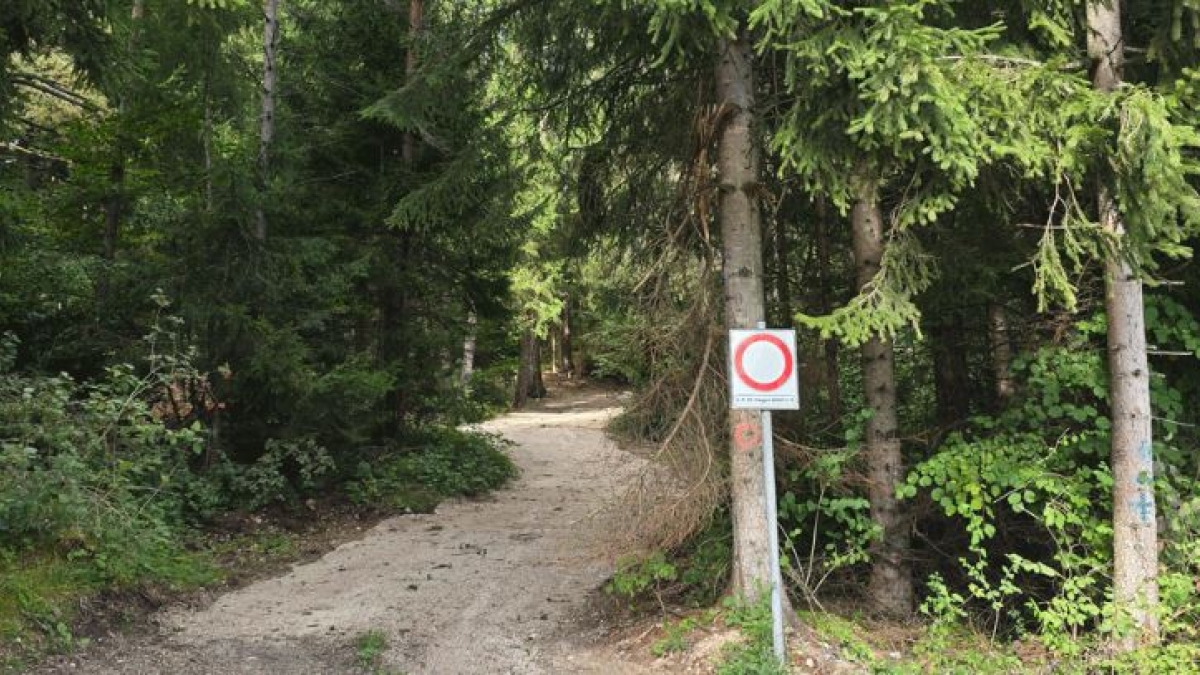 Le 15 domande di Natale: il Questionario dell'Avvento per ragazzi