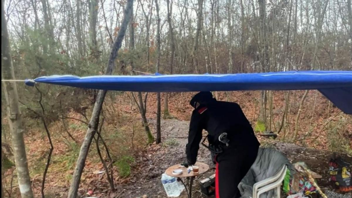 Parco delle Cerbaie, smantellato il «bosco della droga»: 7 arresti, sequestro di stupefacenti, bastoni e un machete