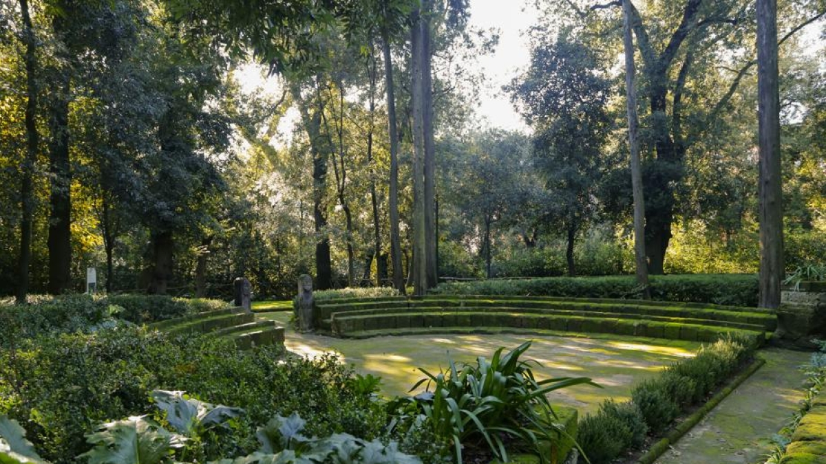 Le 15 domande di Natale: il Questionario dell'Avvento per ragazzi