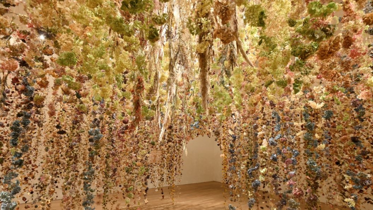 «Flowers», la mostra al Chiostro del Bramante prorogata fino al 22 febbraio