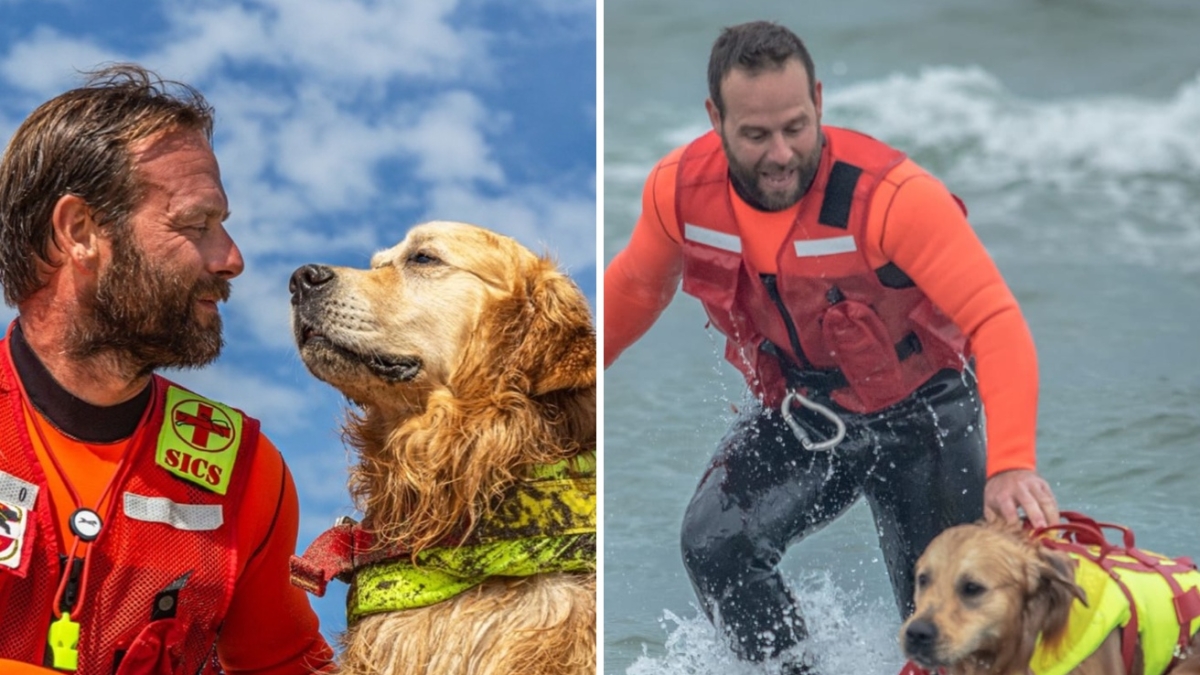 Addio a Thiago, il cane soccorritore della Protezione civile che salvava i bagnanti di Forte dei Marmi