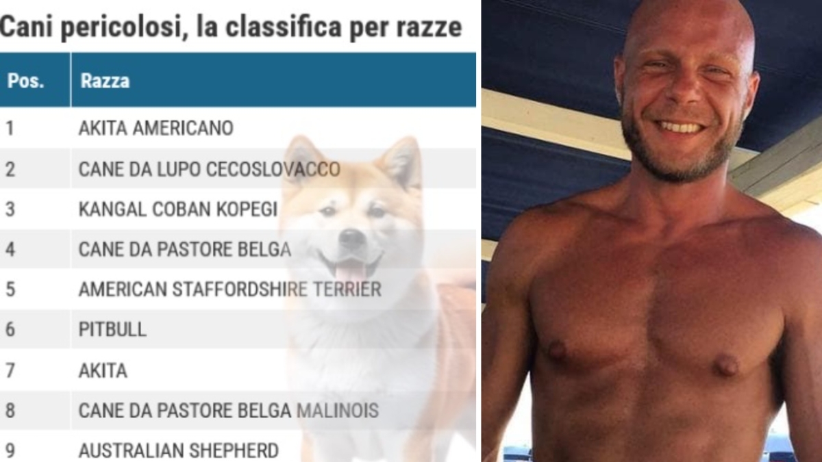 Cani pericolosi, la «lista nera» di Priscilla Pasqualini, sorella del runner sbranato: «Akita, pitbull, dogo e rottweiler tra i primi 20»