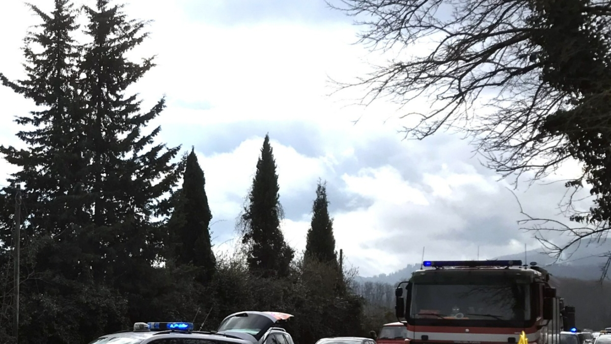 Incidente a Barberino di Mugello, cinghiale attraversa la strada e colpisce un motociclista: morto un 29enne