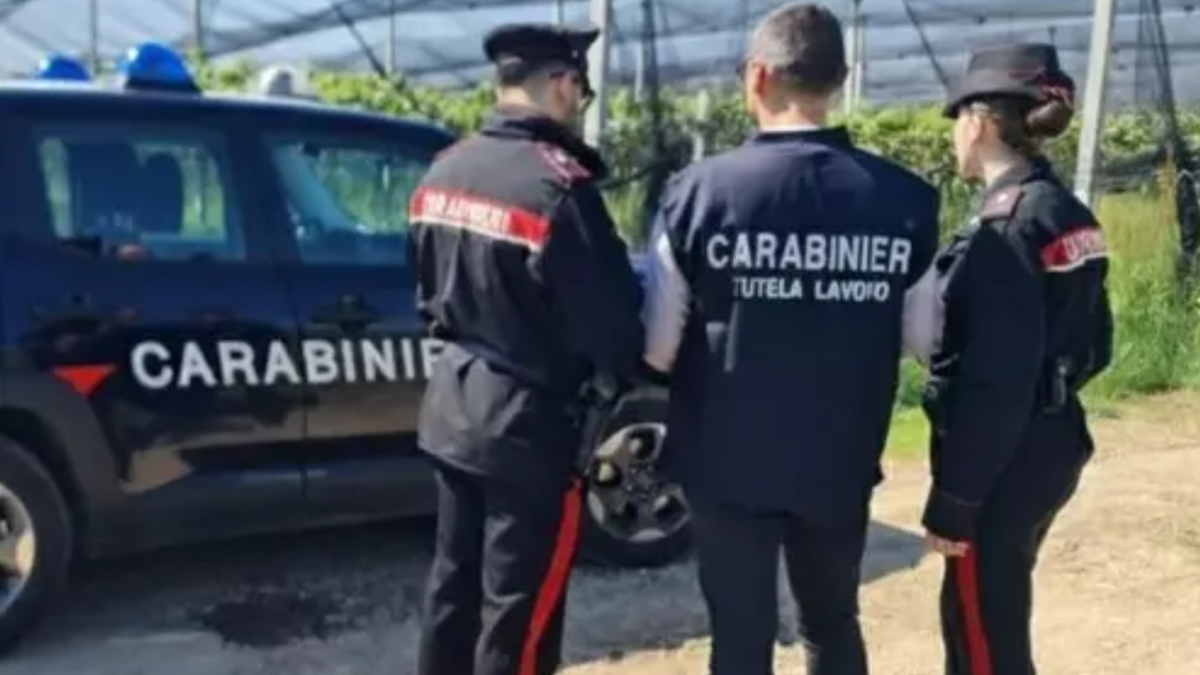 Caporalato nel Grossetano, turni massacranti e minacce: un bracciante picchiato perché «troppo lento»