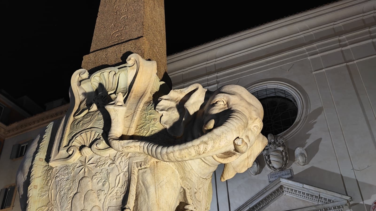 Sfregiata la statua dell'Elefantino in piazza della Minerva a Roma: i vandali hanno rotto una zanna. Caccia ai responsabili con le telecamere