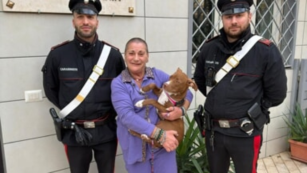 Ostia, rapisce un cucciolo di pitbull e chiede il riscatto: 35enne denunciata. Shary torna a casa dalla proprietaria