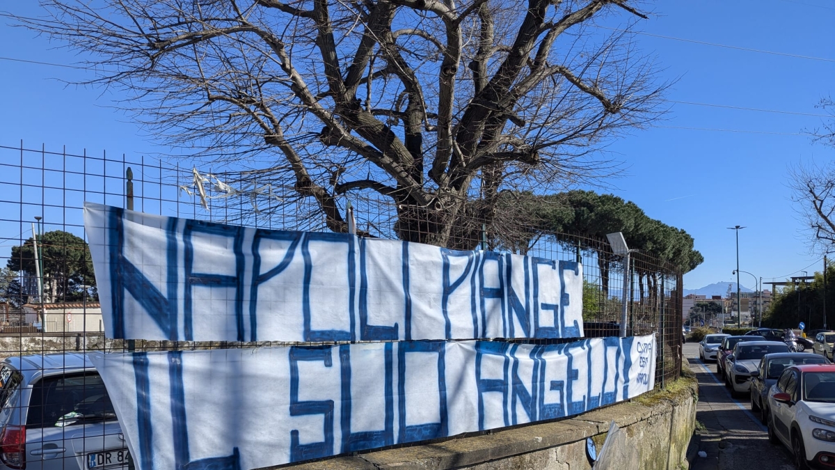 Peluche, fiori e bigliettini, una interminabile processione al Monaldi: «Domenico perdonaci»
