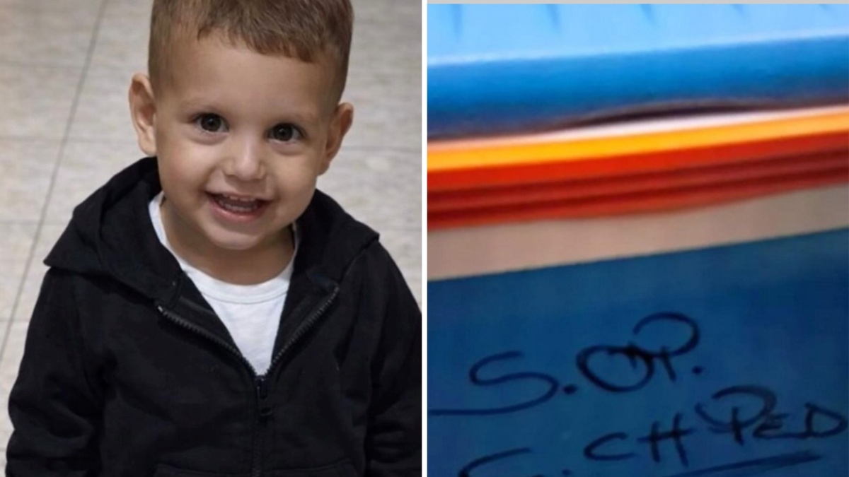 il trapianto su domenico e lo stupore del caposala comm 232 ha gi224 levat o core e il chirurgo disse non far224 mai un battito da Xml2.corriere.it il trapianto su domenico e lo stupore del caposala comm 232 ha gi224 levat o core e il chirurgo disse non far224 mai un battito