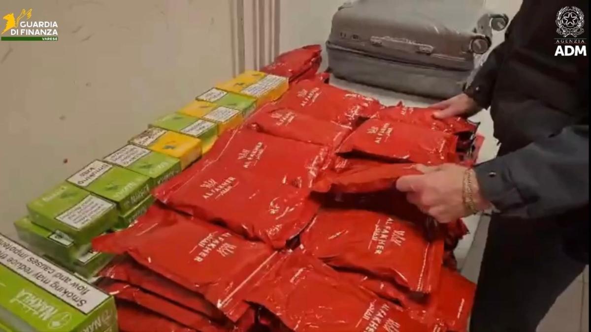 Malpensa, dalle sigarette di contrabbando alla «melassa» per fumare il narghilè: il blitz alla dogana dell'aeroporto