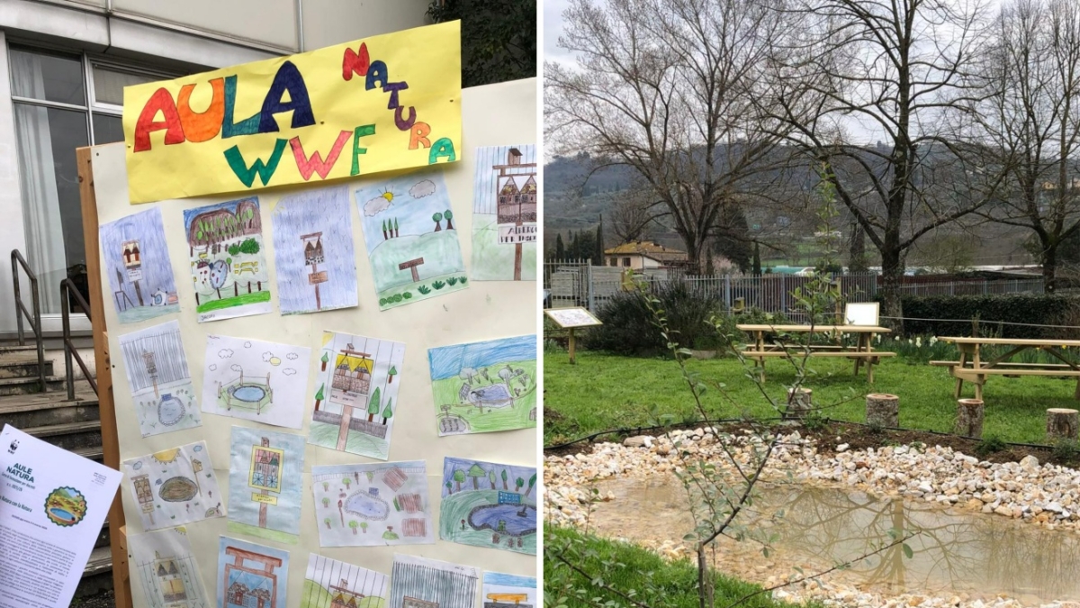 Firenze, lezioni speciali per imparare il rispetto dell'ambiente: ecco la prima «aula Natura»