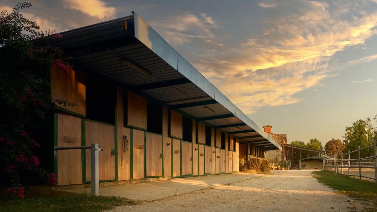 Cremona, muore cavallerizza disarcionata in un maneggio: Klizia Jllary Fraglica è caduta di schiena battendo la testa