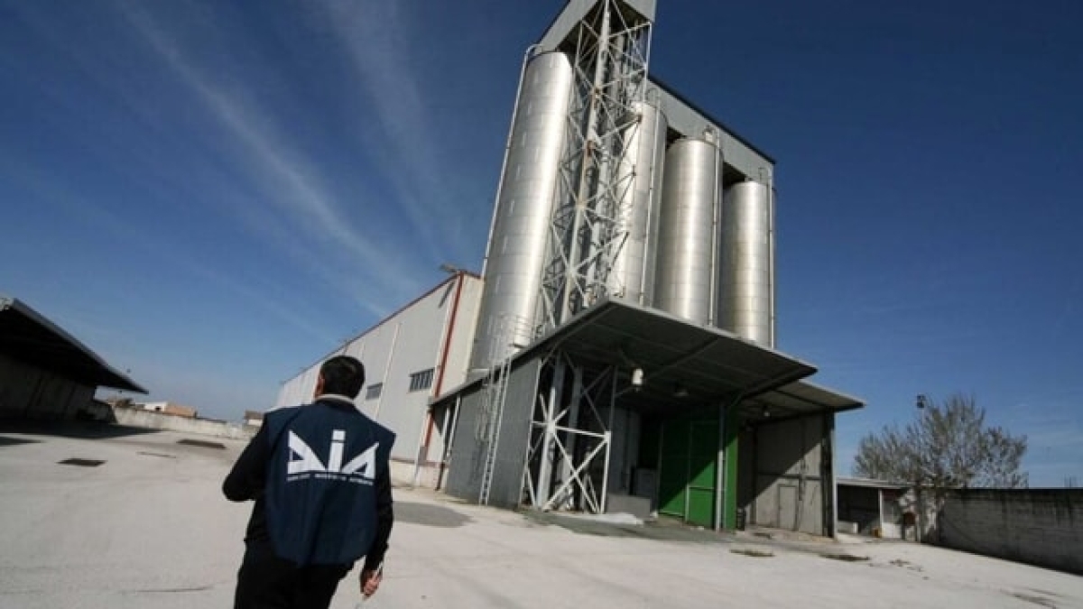 Non ci fu turbativa d'asta: dopo oltre nove anni assolto perché il fatto non sussiste