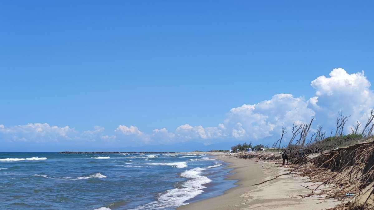 Stessa spiaggia, 20 anni dopo: a San Rossore l'erosione ha mangiato cento metri di sabbia