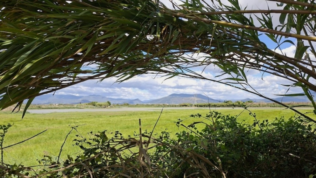 Le 15 domande di Natale: il Questionario dell'Avvento per ragazzi