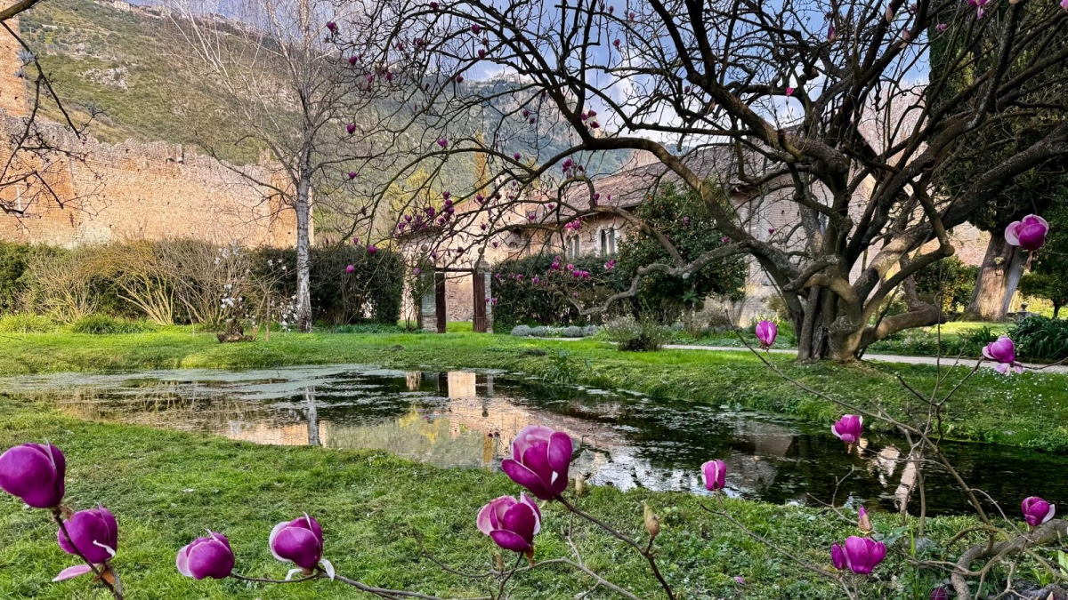 Il Giardino di Ninfa riapre lo scrigno: ecco le date e tutte le novità per la stagione 2026. Fioriture da non perdere