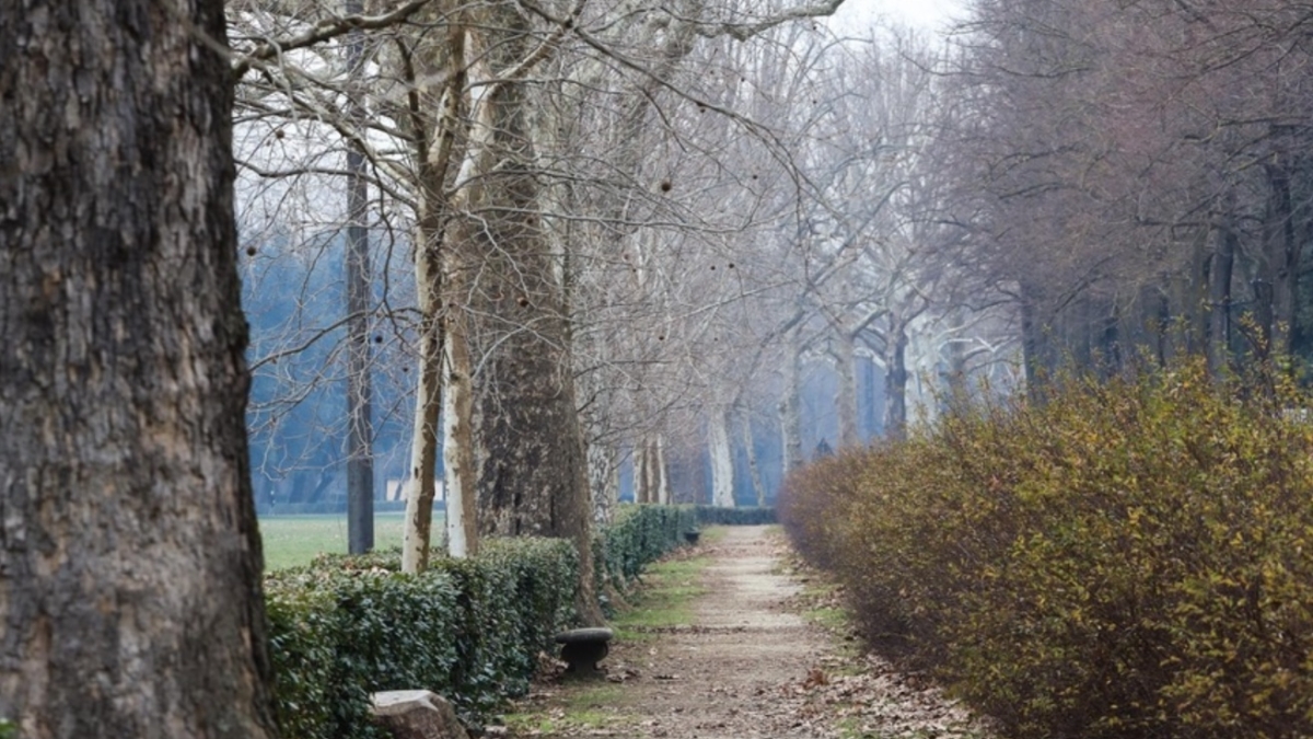 Le foreste urbane a Firenze: una giornata alla riscoperta del Parco delle Cascine