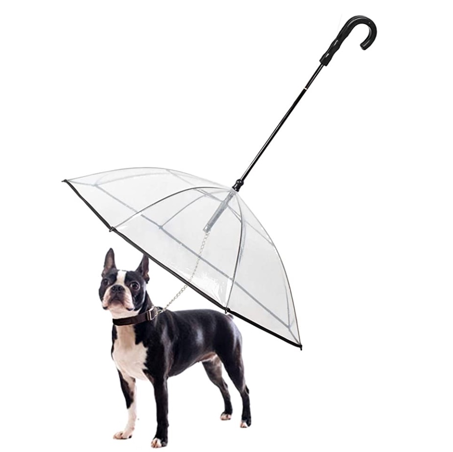 
                                    
                                Pioggia e animali domestici: gli impermeabili più funzionali da acquistare