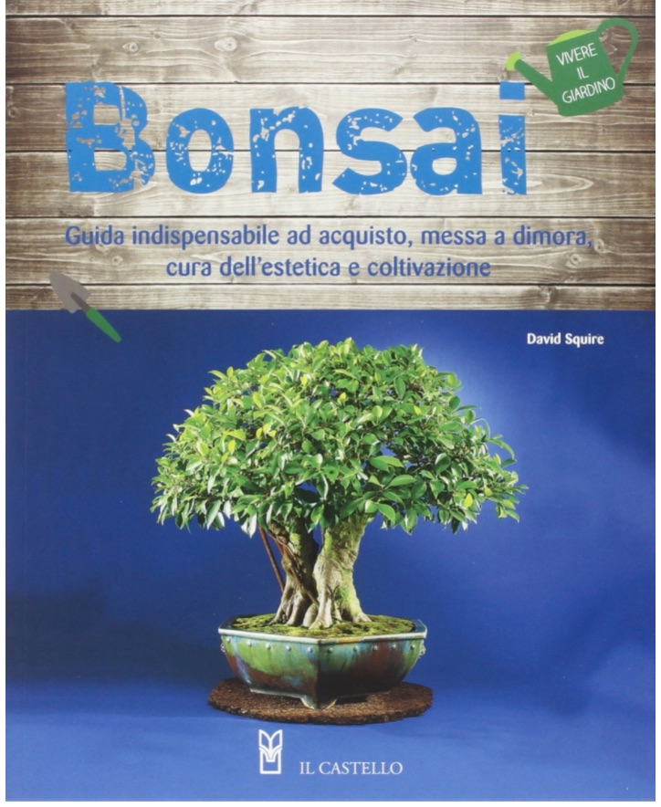 
                                    
                                Bonsai: quali scegliere, gli attrezzi per coltivarli e come evitare malattie