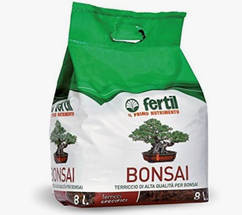 
                                    
                                Bonsai: quali scegliere, gli attrezzi per coltivarli e come evitare malattie