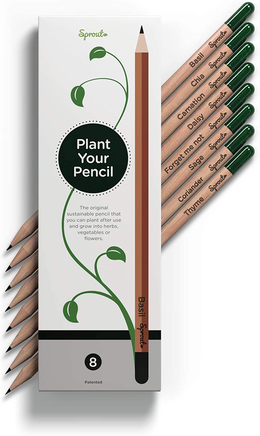 
                                    
                                Sprout, la matita che si pianta e diventa un vegetale