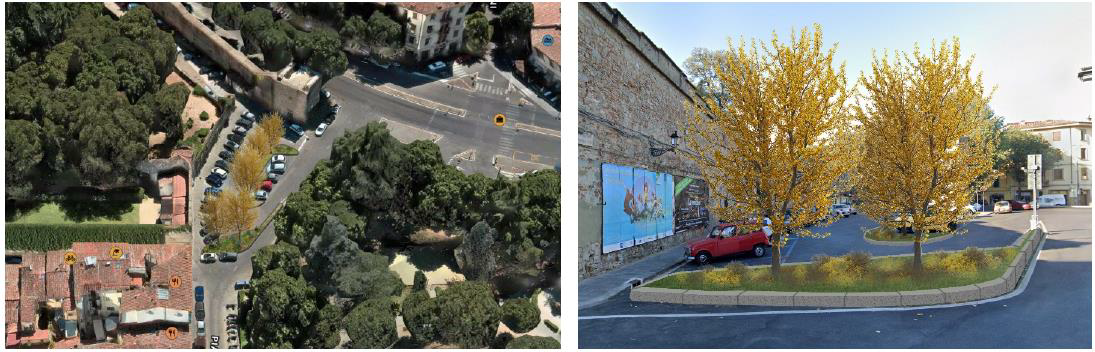 Firenze, nuovi alberi in città: la mappa dei luoghi dove saranno piantati