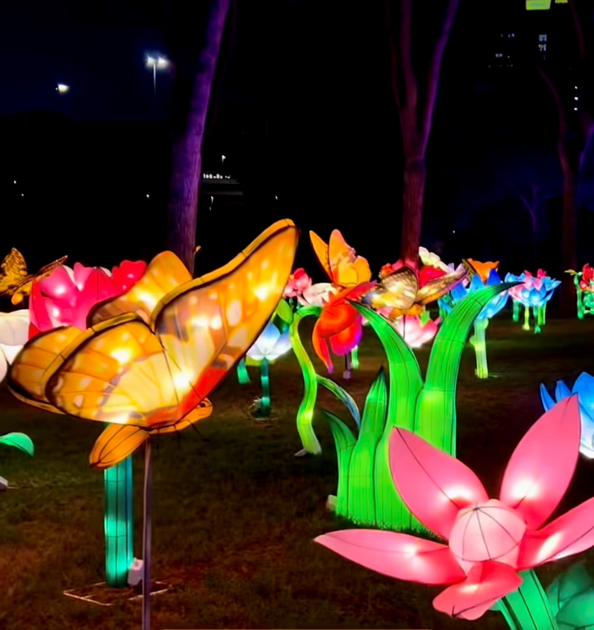 Eur, arriva «This is Wonderland»: nel parco un percorso narrativo tra