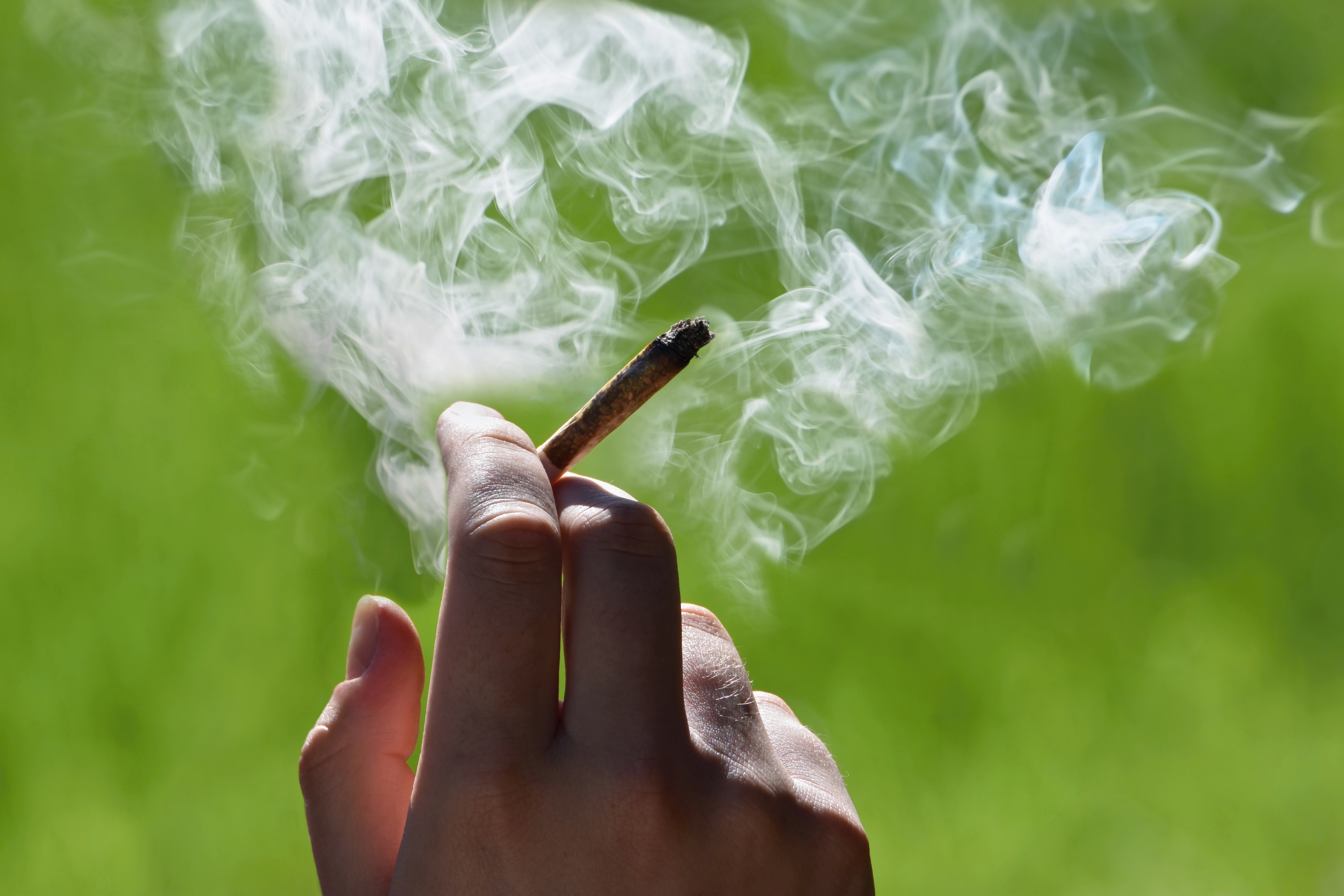 Con l'uso di cannabis cresce il rischio di infarti e ictus