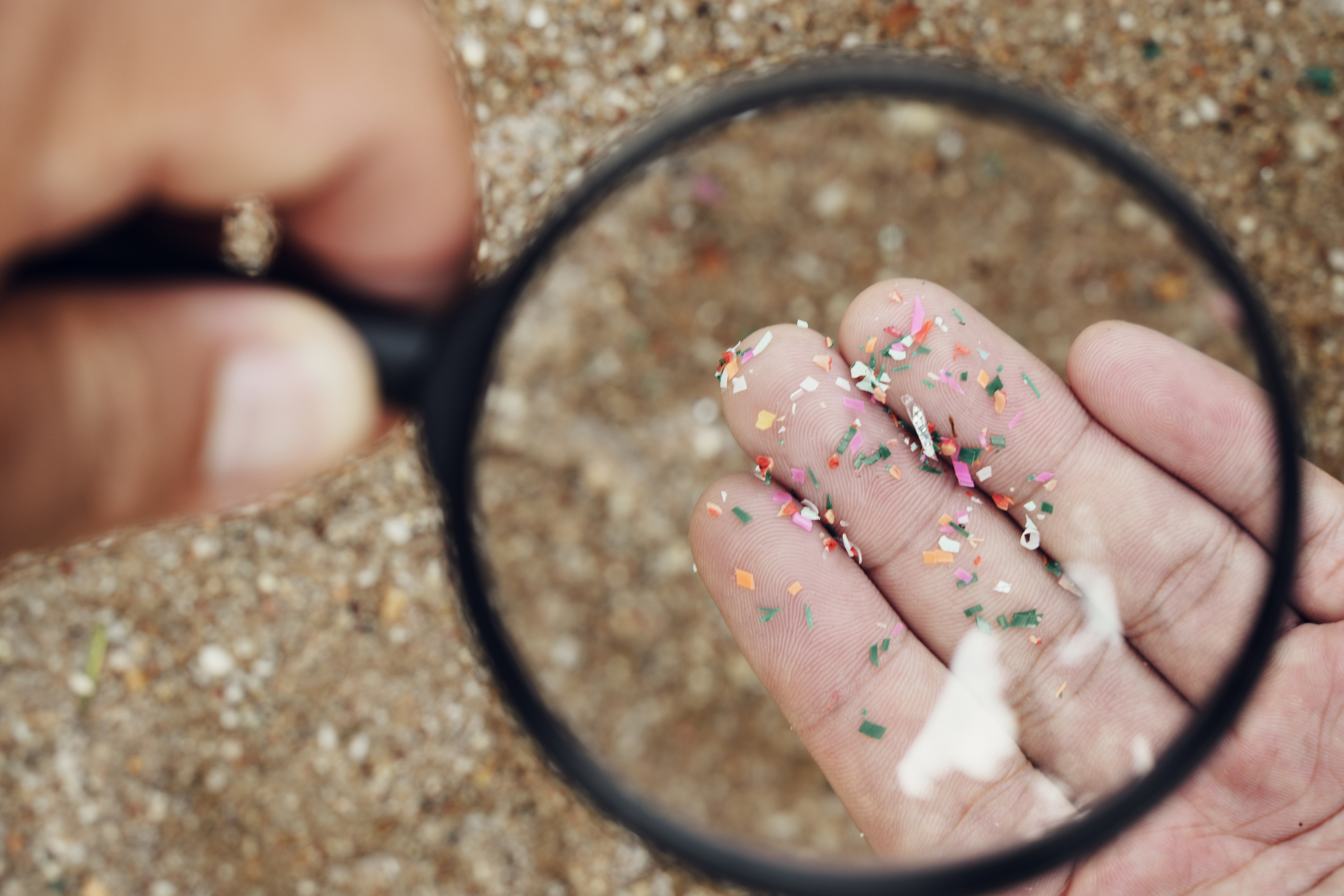 Microplastiche nelle placche delle arterie: più che raddoppiato il rischio di infarto e ictus, lo studio italiano