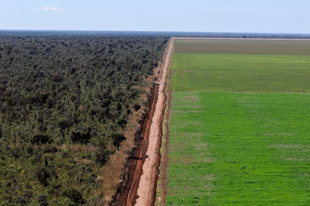 © Adriano Gambarini _ WWF-Brazil