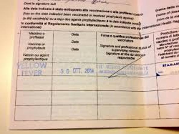 Certificato Internazionale Di Vaccinazione O Profilassi - Wikipedia - Foto 5
