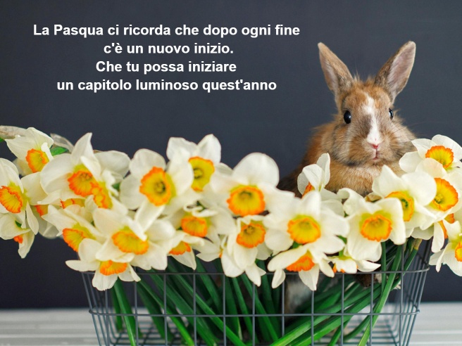 Chi Decide Quando è Pasqua Tanti auguri di Buona Pasqua: le immagini e le frasi più eleganti per