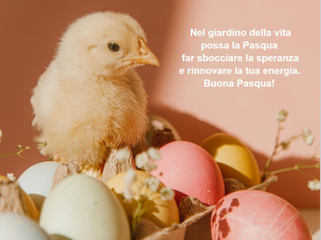 Frasi Per Gli Auguri Di Pasqua Tanti auguri di Buona Pasqua: le immagini e le frasi più eleganti per