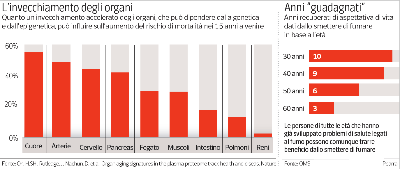 Epiwellness, le scelte di vita influenzano l’invecchiamento