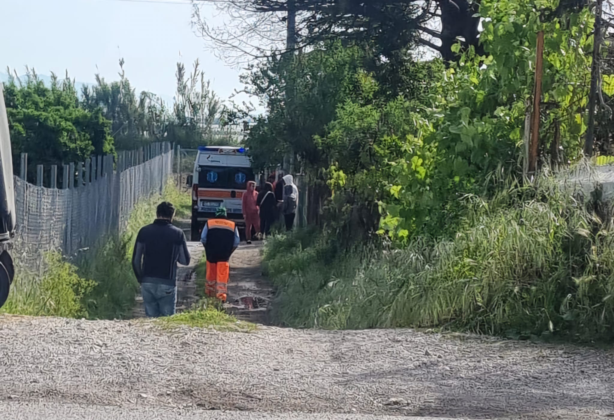 Eboli, bambino di 13 mesi ucciso da due pitbull in casa. Ferita anche la madre accorsa per salvarlo