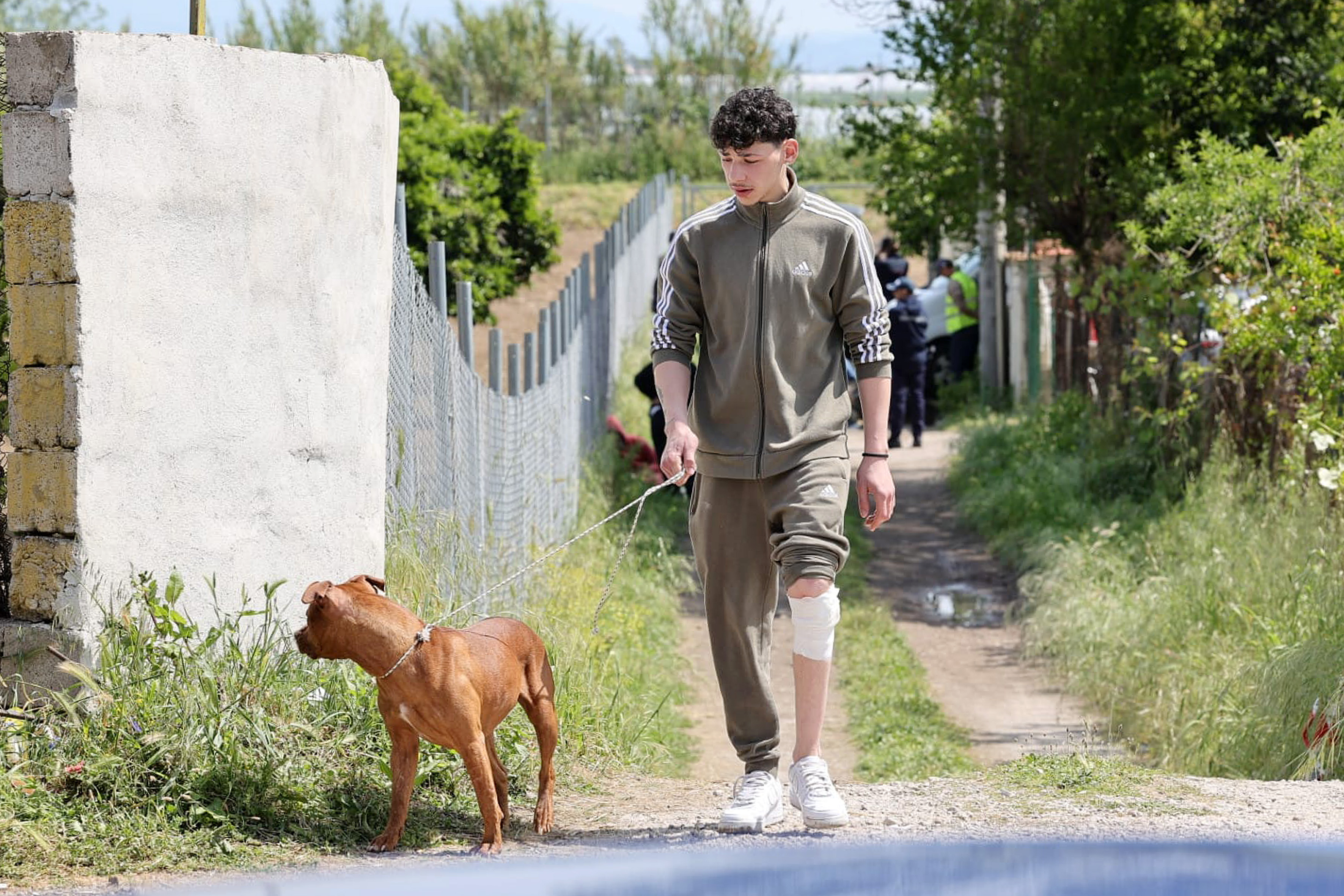 Eboli, Francesco Pio sbramato dai pitbull: indagati la madre, gli zii e i proprietari dei cani
