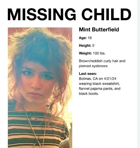Scomparsa la figlia adolescente di due miliardari della Silicon Valley 